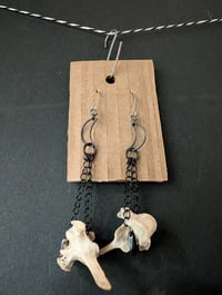 Image 4 of Nocturnal 