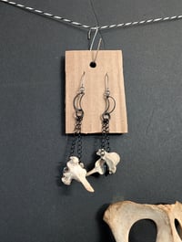 Image 5 of Nocturnal 