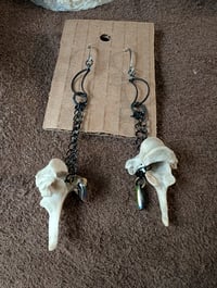 Image 2 of Nocturnal 