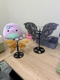 carnitacoleman915 BASKET