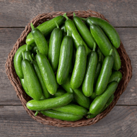 **NEW** Mini-Me - Snacking