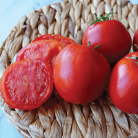 **NEW** Gill's All Purpose