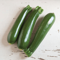 Zucchini - Dunja