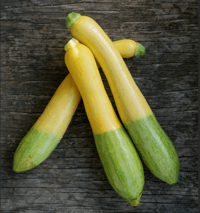 Yellow Squash - Zephyr