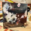 The Cure "Disintegration" Vinyl (New)
