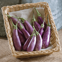 Fairy Tale - 2 for $9!