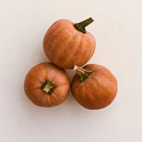 Winter Squash - Lodi - 2 for $10