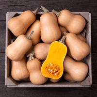 **NEW** Winter Squash - Butter Baby - 2 for $8