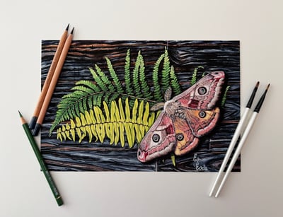 Image of Look for the Light - PRINT