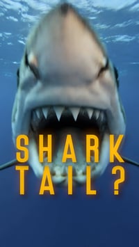 Image 5 of Smells Like Happiness – Teletubbies Parody Concert Poster