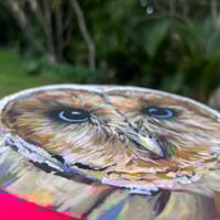 Image 3 of Owl Original Painting 