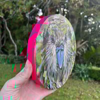 Image 3 of Kakapo Original Painting 