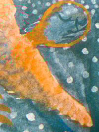 Image 2 of Dream Bird - A4 Riso Print