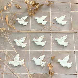 Image of Douces colombes