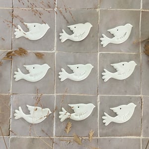 Image of Douces colombes