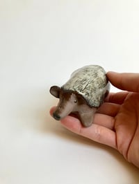 Image 4 of Lille Pindsvin