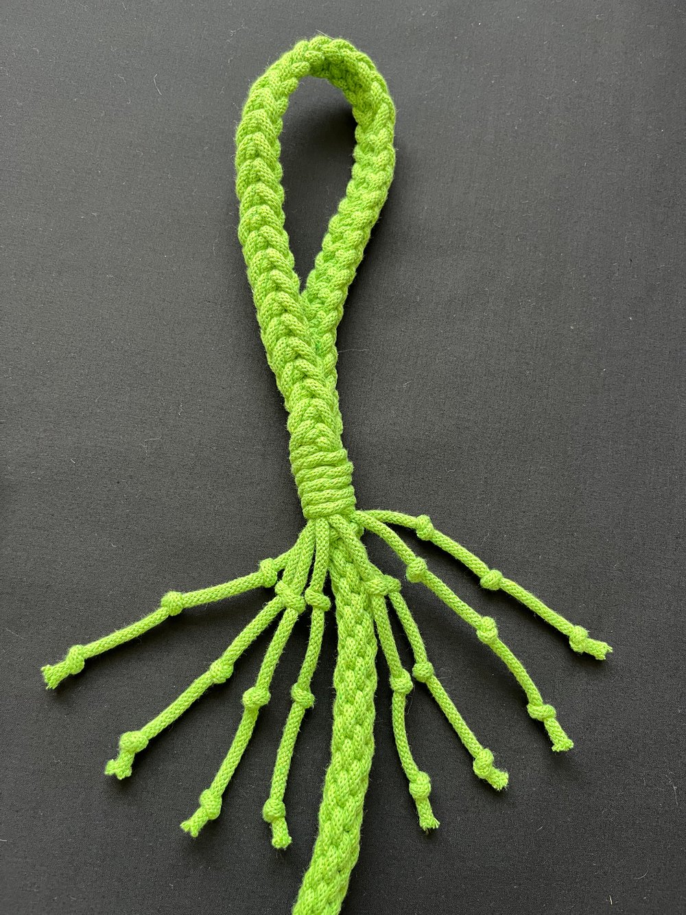 Image of Solid colour medium weight lead