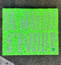 Image 3 of TOILE - NATURE