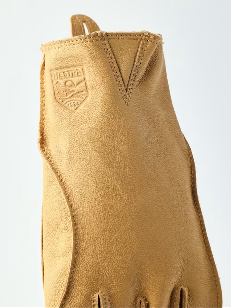 Image of Mylonite by Hestra