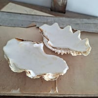 Image 5 of Stunning Littlle Antique Double Clam Shell