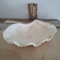 Image 4 of Beautiful Antique Clam Shell 