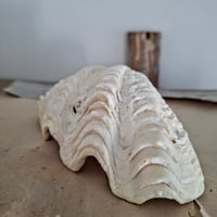 Image 2 of Beautiful Antique Clam Shell 