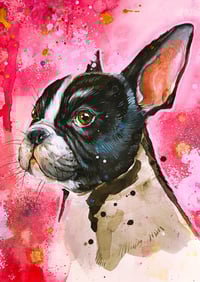  Bostoninterrieri A4 printti