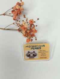 Mischief club akryylipinssi