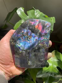 Image 1 of Purple Flash Labradorite Stone (3)