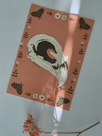 Postikortti, kallo lintu