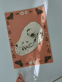 Postikortti, kallo kettu