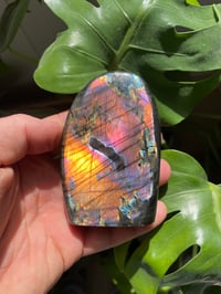 Image 1 of Orange & Purple Flash Labradorite Stone (5)