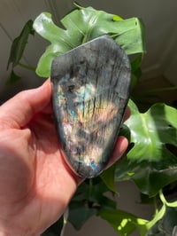 Image 2 of Rainbow Flash Labradorite Stone (6)