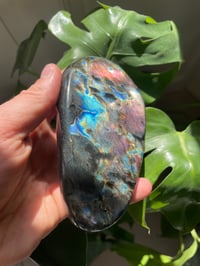 Image 1 of Rainbow Flash Labradorite Stone (6)