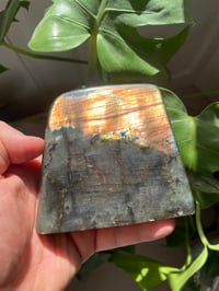 Image 1 of Orange Flash Square Labradorite Stone (8)