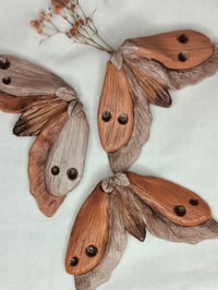 Image 1 of Moth savityö 