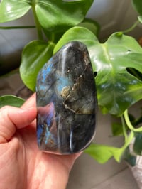 Image 3 of Purple & Rainbow Flash Labradorite Stone (10)
