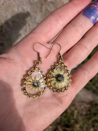 Image 2 of Brass Colored Sunflower Earrings