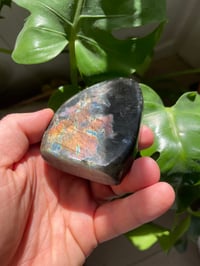 Image 2 of Purple & Rainbow Flash Labradorite Stone (11)