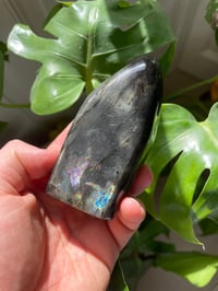 Image 2 of Rainbow Flash Labradorite Stone (12)