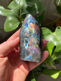 Image 1 of Rainbow Flash Labradorite Stone (12)