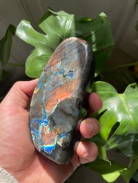 Image 2 of Orange & Blue Flash Labradorite Stone (14)