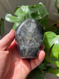 Image 3 of Rainbow Flash Labradorite Stone (15)