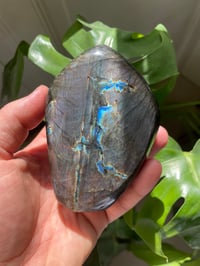 Image 1 of Rainbow Flash Labradorite Stone (15)