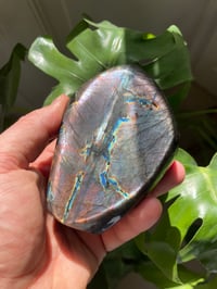 Image 2 of Rainbow Flash Labradorite Stone (15)