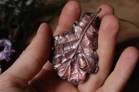 Image 1 of Collana con vera foglia di quercia racchiusa nel rame con patina ossidata scura