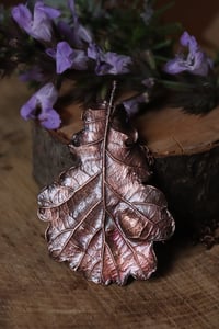 Image 2 of Collana con vera foglia di quercia racchiusa nel rame con patina ossidata scura