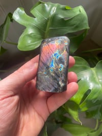 Image 1 of Purple & Rainbow Flash Labradorite Stone (16)