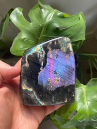 Image 1 of Purple Flash Labradorite Stone (19)
