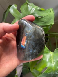 Image 2 of Purple Flash Labradorite Stone (19)